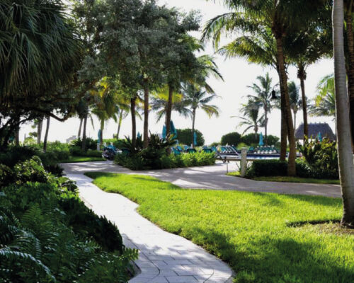 Ejemplo de algunas de nuestras propiedades en alquiler